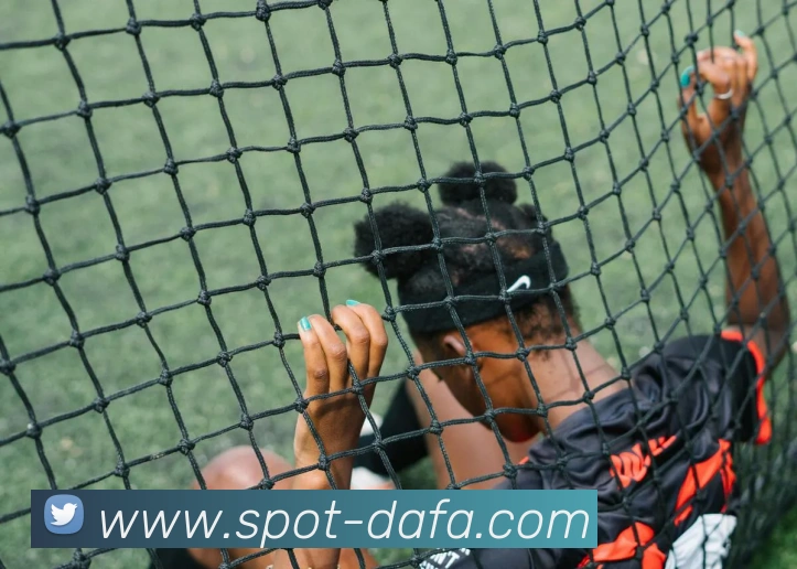 大发彩票APP 封面图